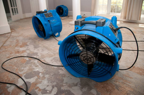 Best Commercial Water Damage Restoration in Farragut, TN