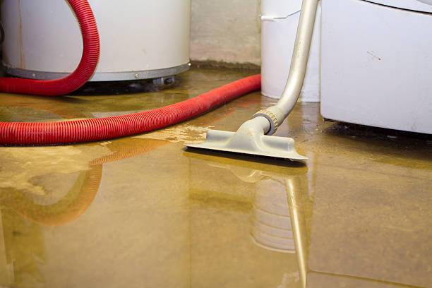 Best Plumbing Leak and Burst Pipe Cleanup in Farragut, TN